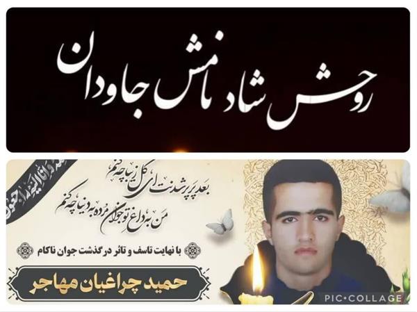 پیام تسلیت مدیر‌گروه هوشبری