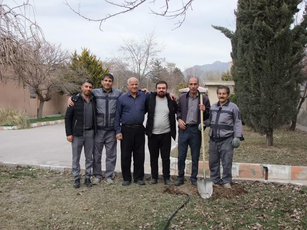 روز درختکاری2