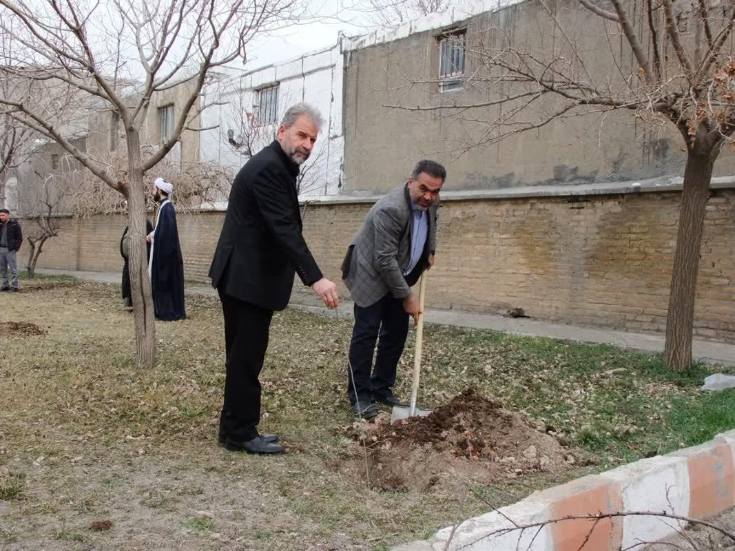 روز درختکاری3