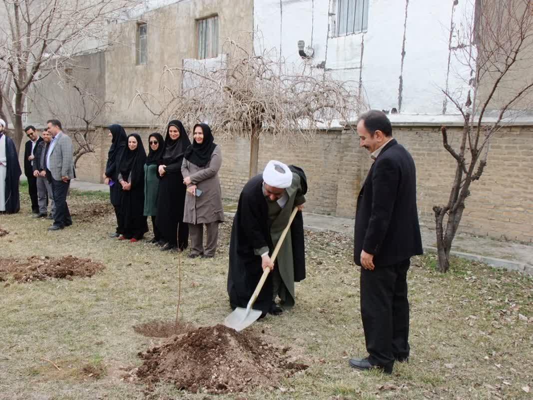 روز درختکاری4