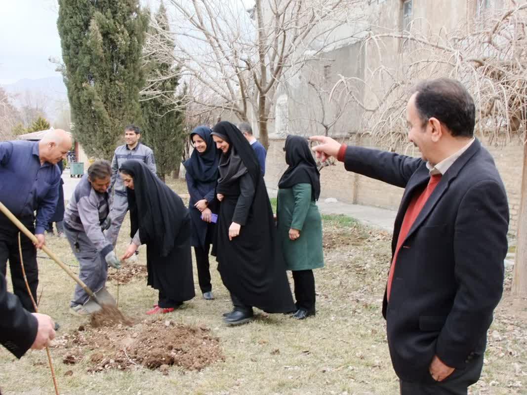 روز درختکاری5