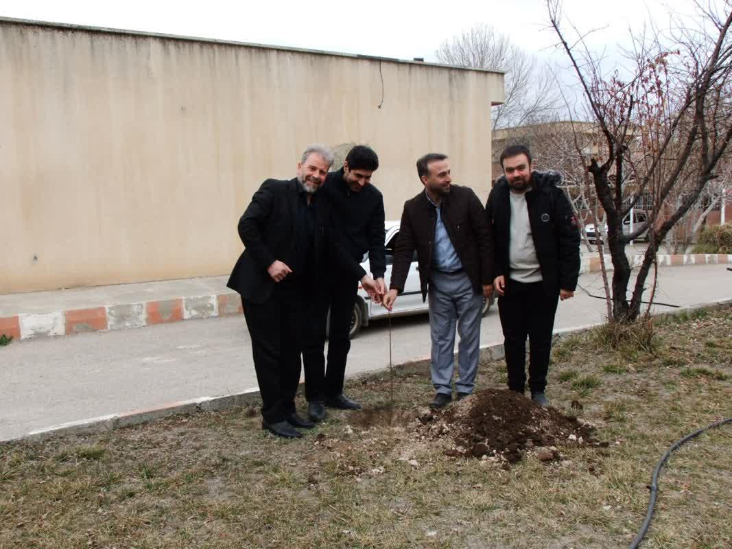 روز درختکاری6