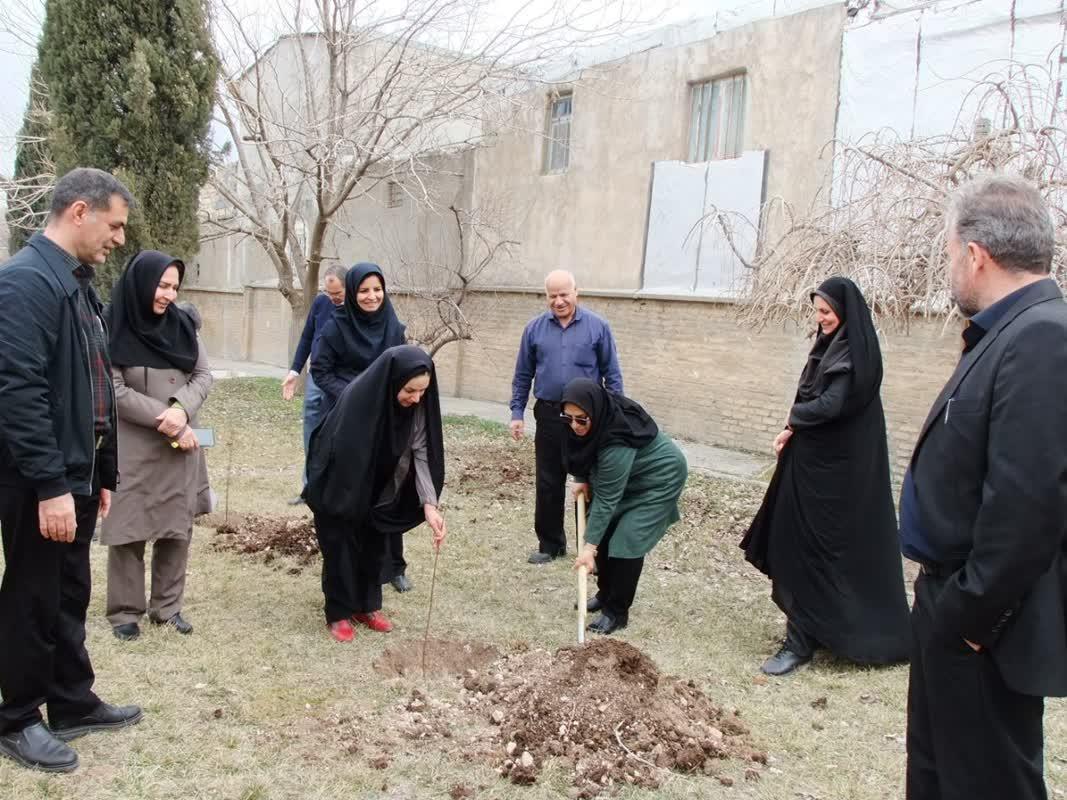 روز درختکاری7