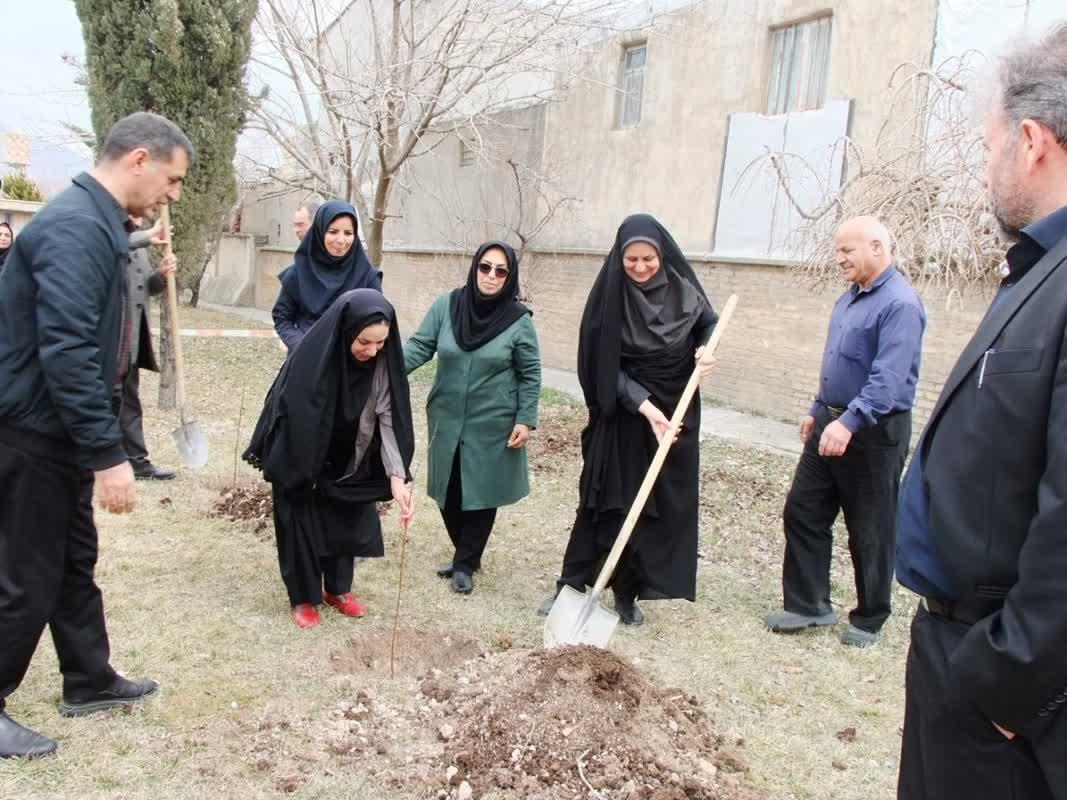 روز درختکاری8