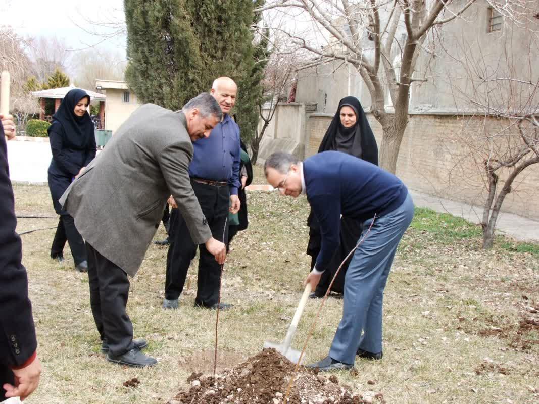 روز درختکاری9