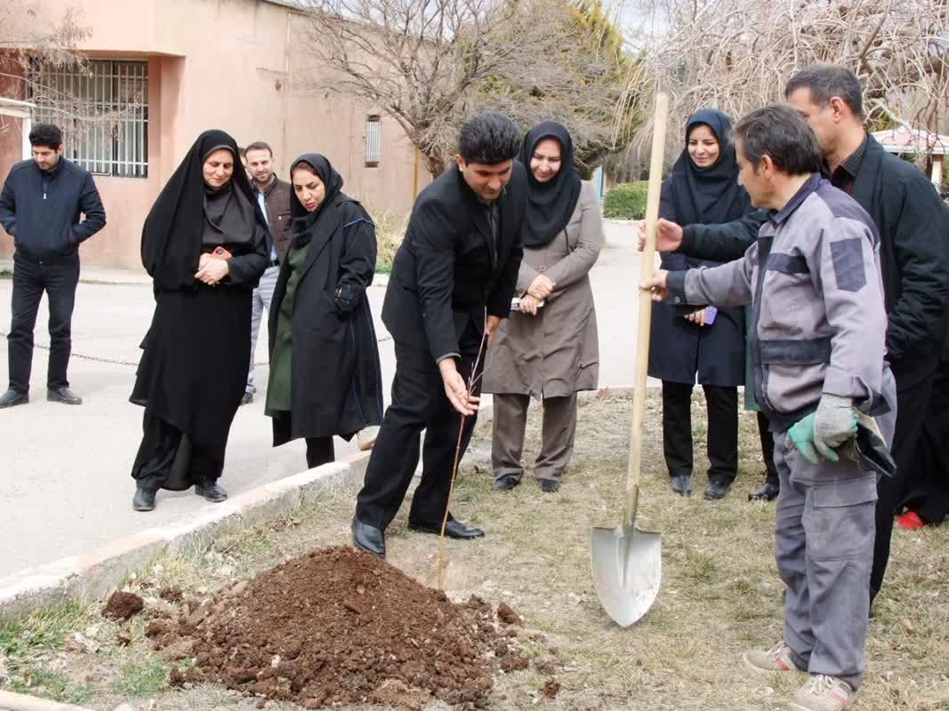 روز درختکاری11