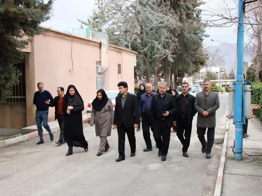 روز درختکاری12