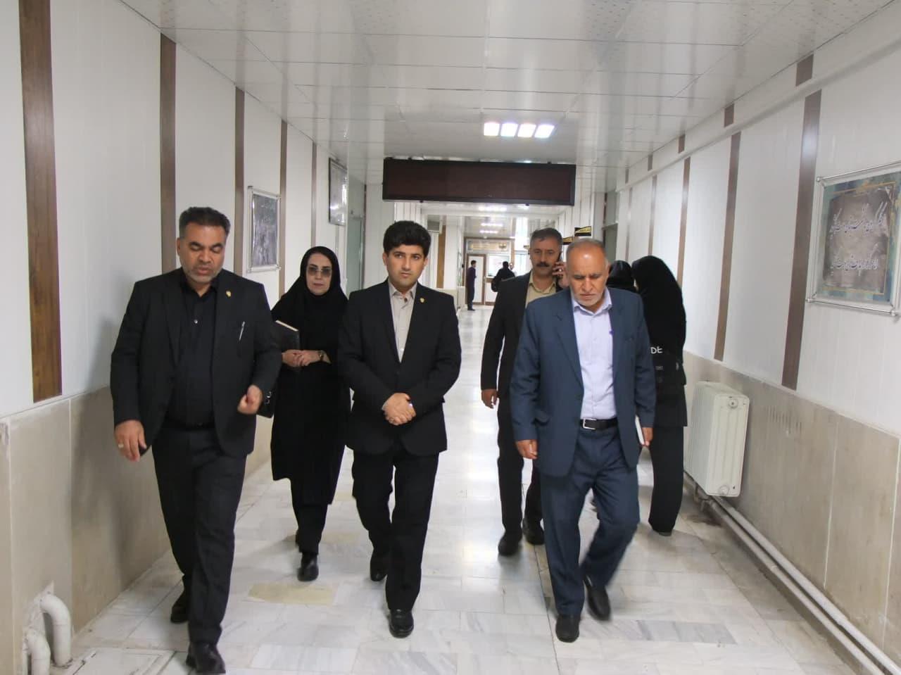 بازدید سلف4