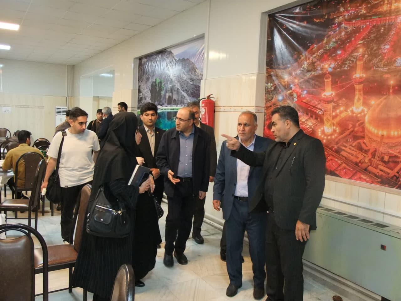 بازدید سلف6