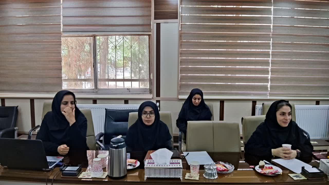 شورای پژوهشی و فناوری4