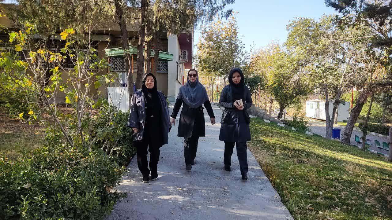 برنامه پیاده‌روی4