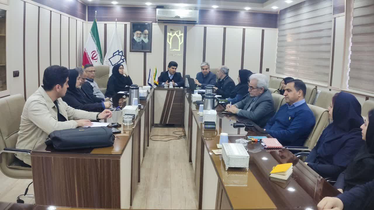 جلسه اساتید مشاور