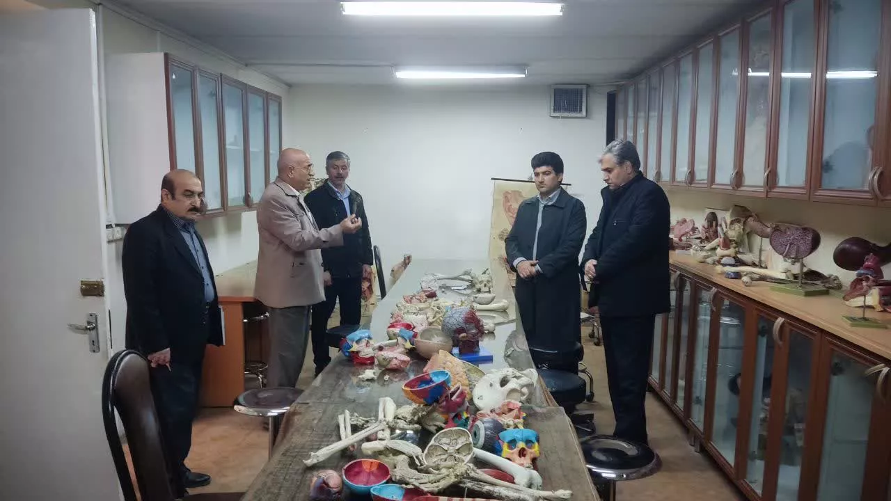 بازدید رئیس دانشکده از سالن مولاژ2