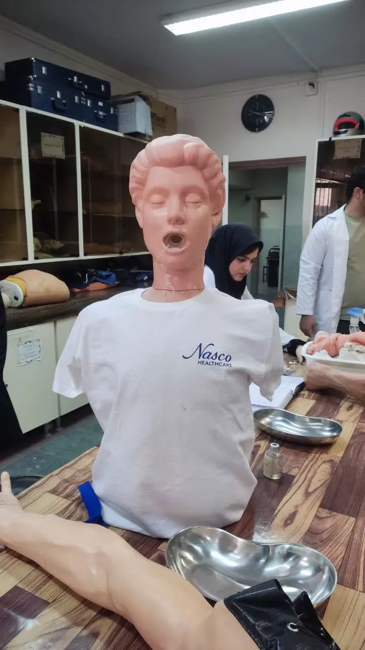 تهیه مانکن4